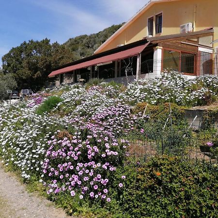 Hotel Il Lentischio à Cala Sapone Extérieur photo
