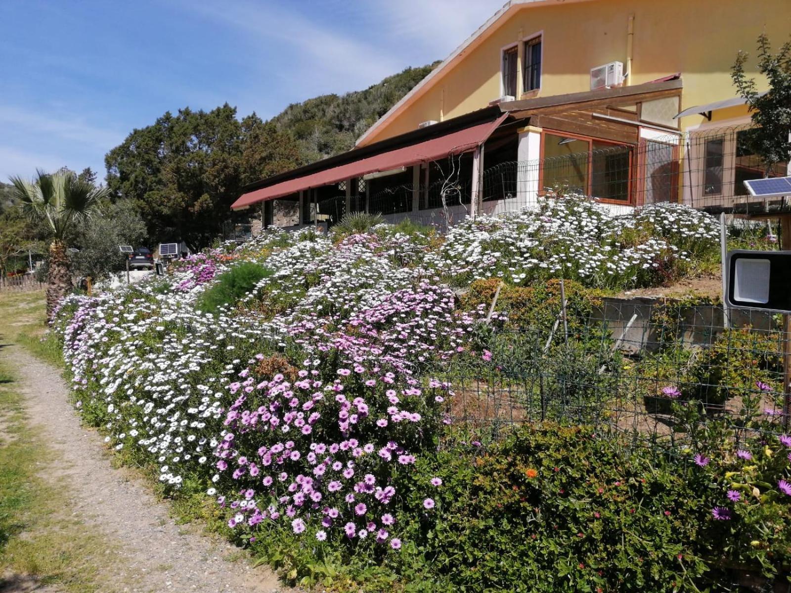 Hotel Il Lentischio à Cala Sapone Extérieur photo